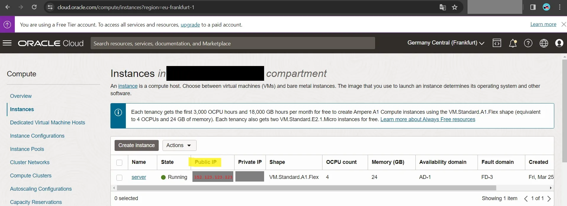 Find public server IP